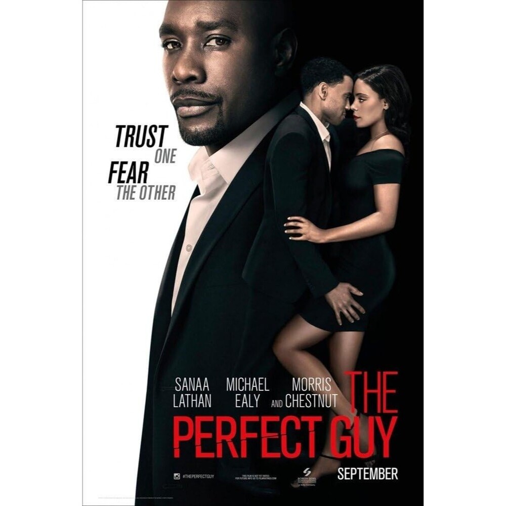 THE PERFECT GUY Movie Poster B ORIGINAL SS 11x17 Michael Ealy THEATRICAL ADVANCE